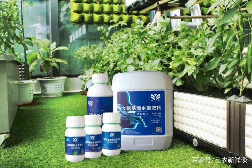 皇圖生態農業 立足魚肽有機肥自主研發，引領綠色種植新革命